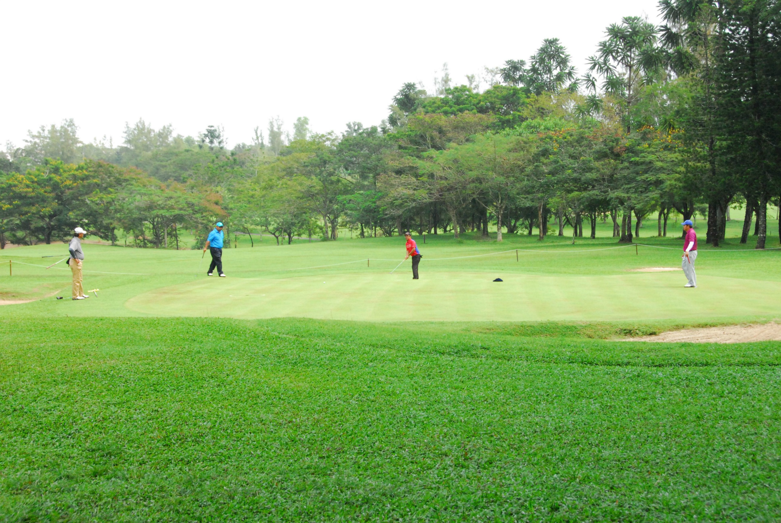 PRO15 157 GOLF DSC 0467.JPG